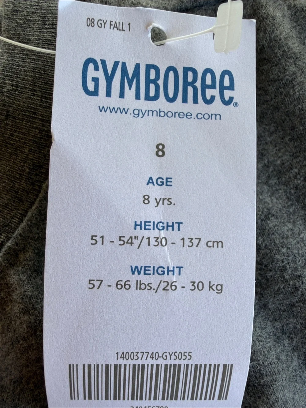 NWT Gymboree Gray Long Sleeve Shirt with Skull and Burgundy Bandana